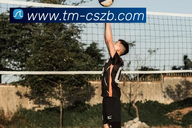 彩神争霸服务体系